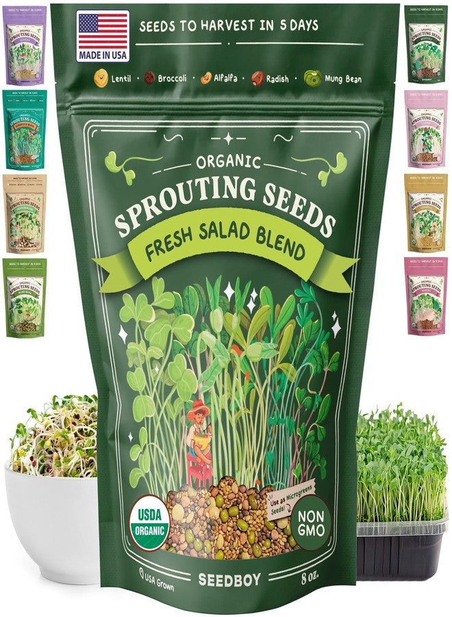 Seedboy Organic Non-GMO Sprouting Seeds, Fresh Salad Blend – USA Grown Microgreens Mix with Alfalfa, Broccoli, Radish, Mung Bean & Lentil – 8 oz Bag Makes 8 Quarts / 24 Servings (Salad Blend) - Image 1